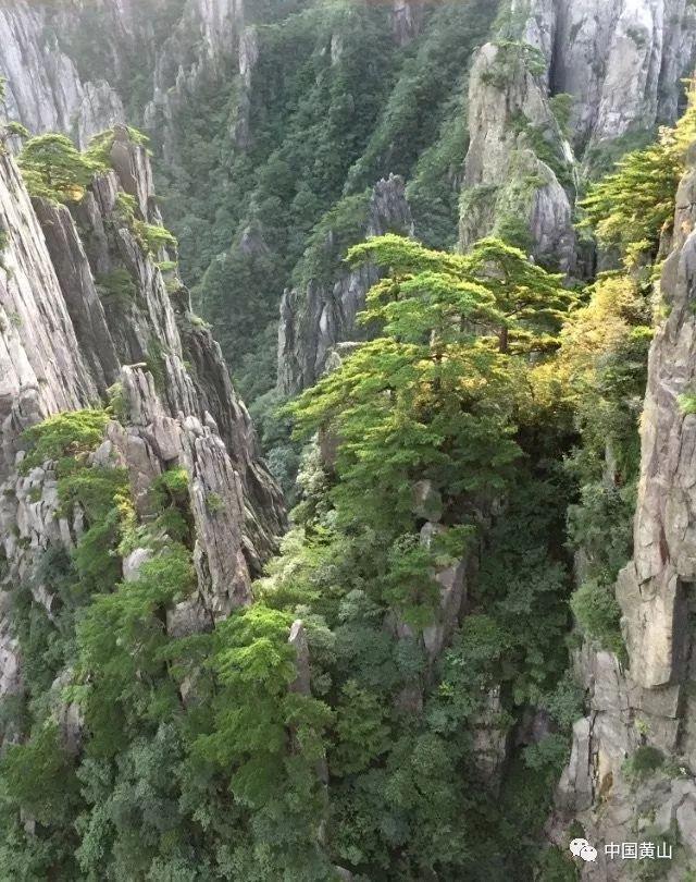 超黄金街霸2